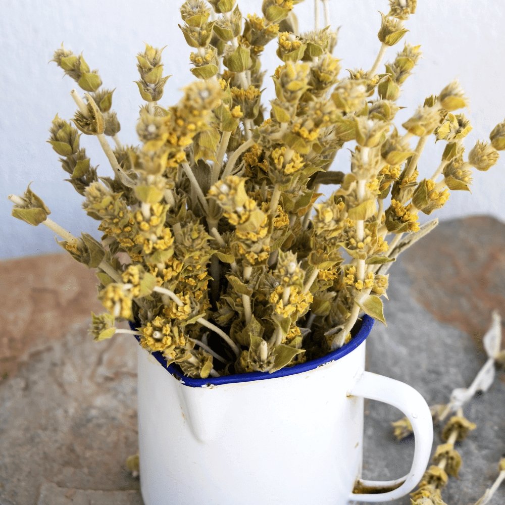 Greek Mountain Tea (Mount Olympus)