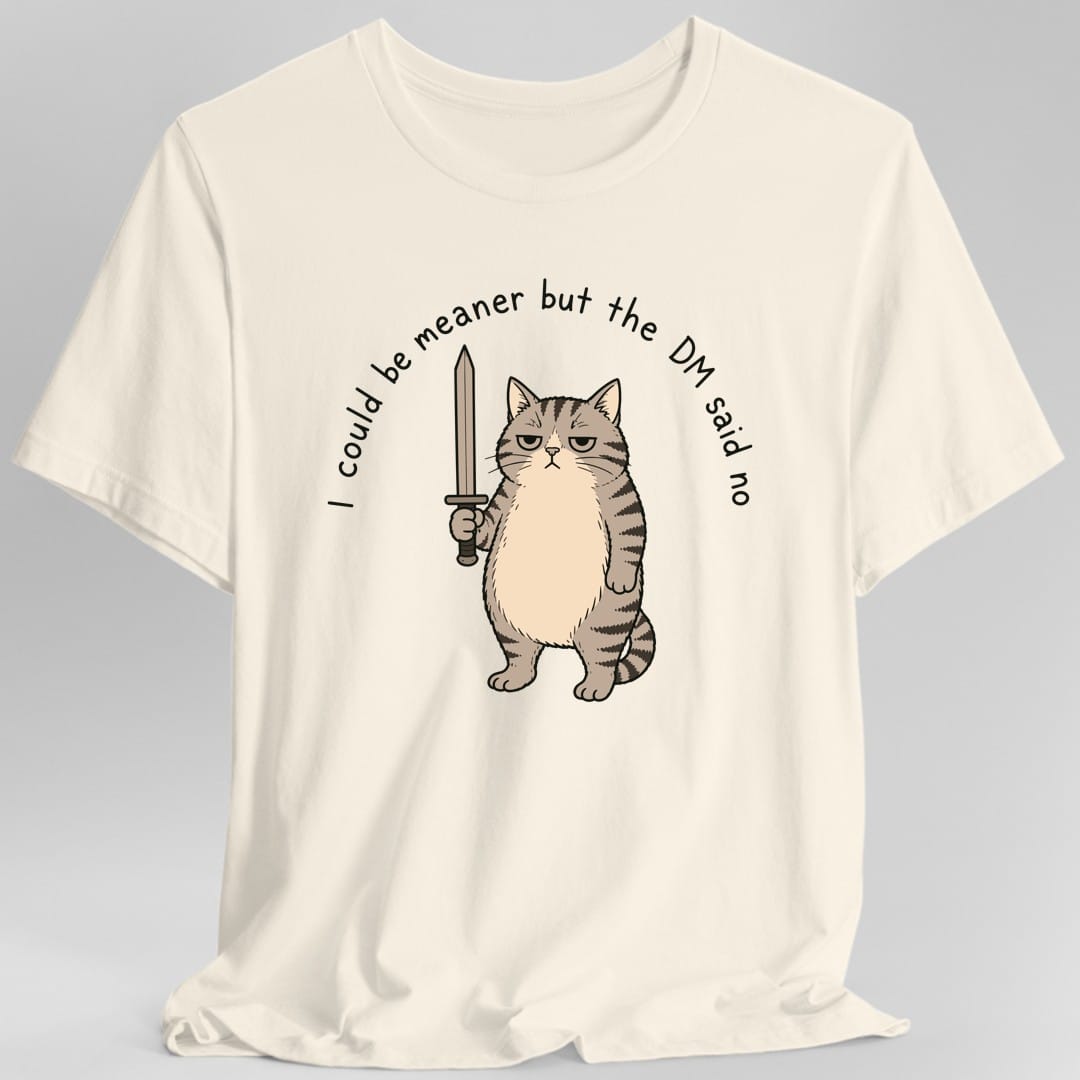 I Could Be Meaner But The DM Said No T-Shirt