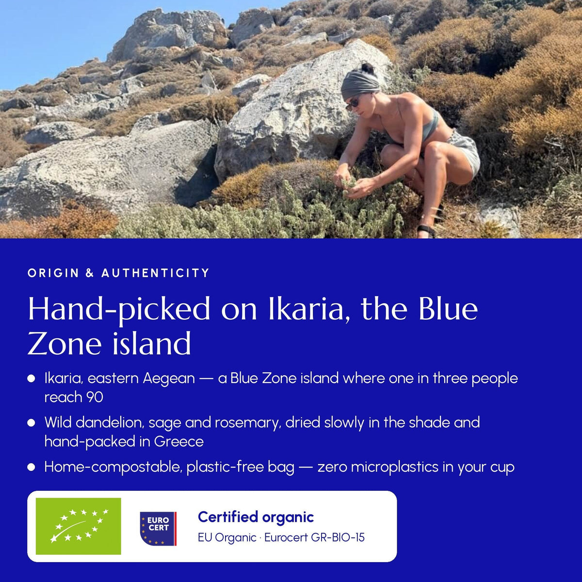 Té Ikaria (Zona Azul)