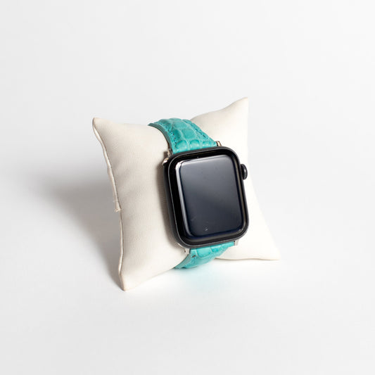 Apple Watch Band, Aqua