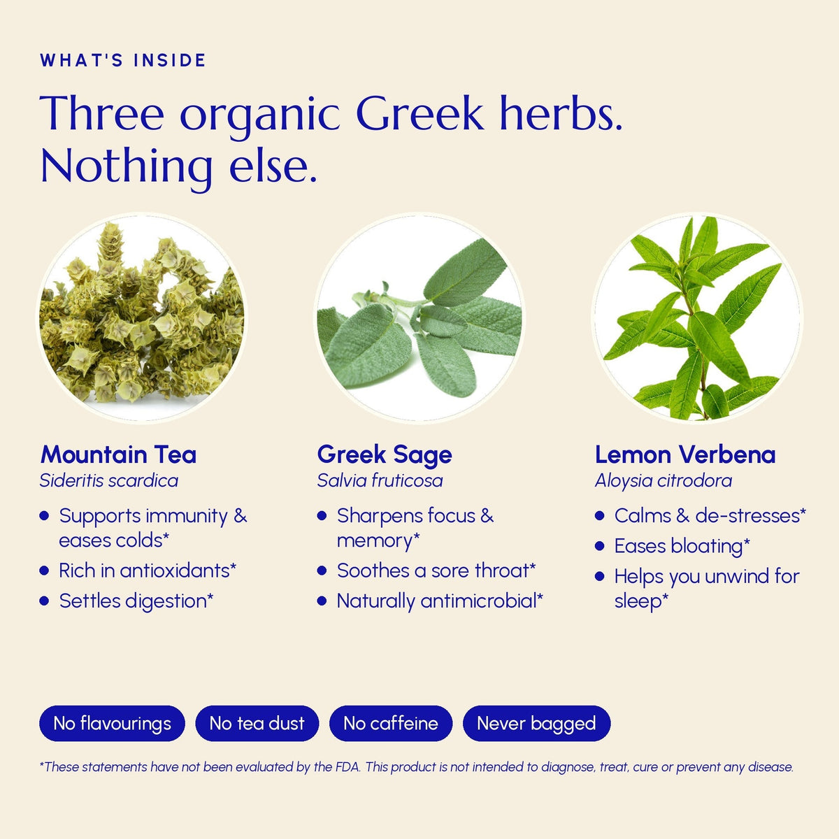 Immune Tea