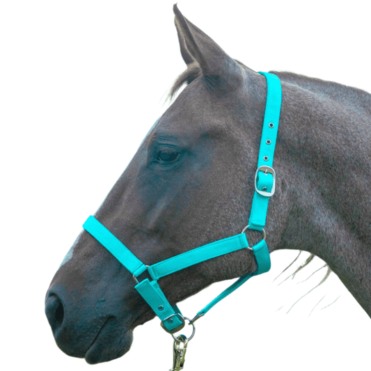 Cabestro ajustable de nailon Jeffers para caballo de tamaño completo