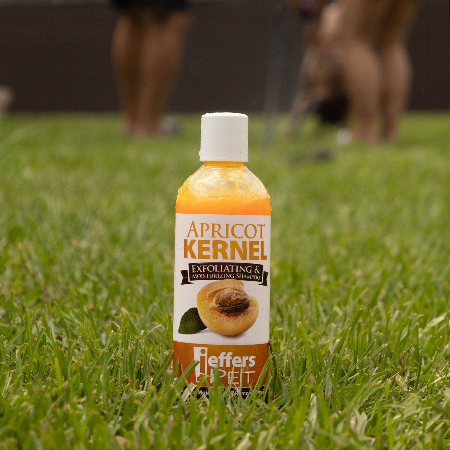 Champú Exfoliante e Hidratante para Mascotas con Hueso de Albaricoque Jeffers
