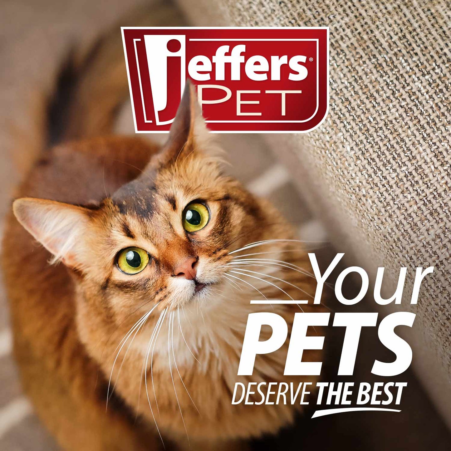 Cepillo carda de doble cara Jeffers Flex Head para mascotas