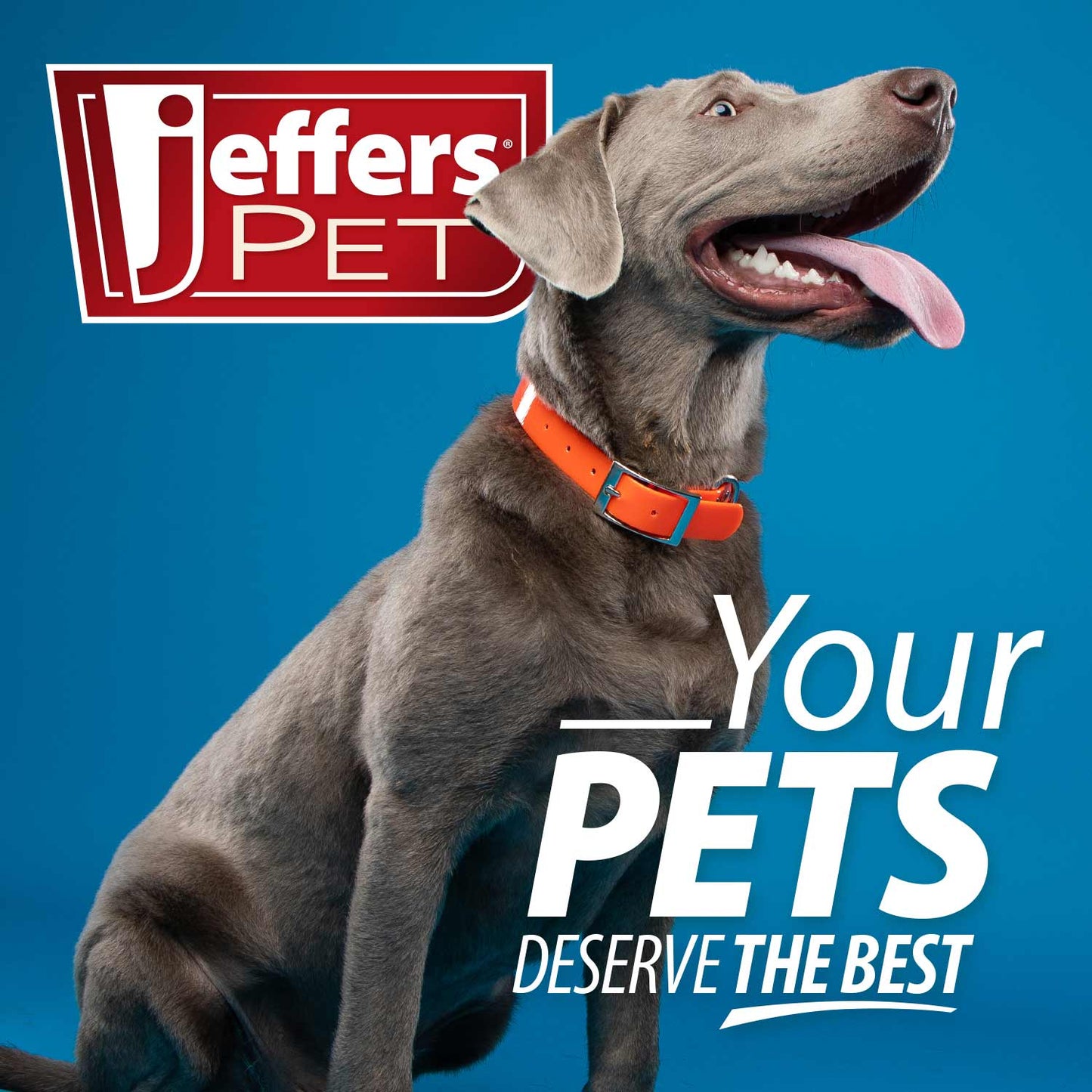 Peines Jeffers Flat Back para el aseo de mascotas