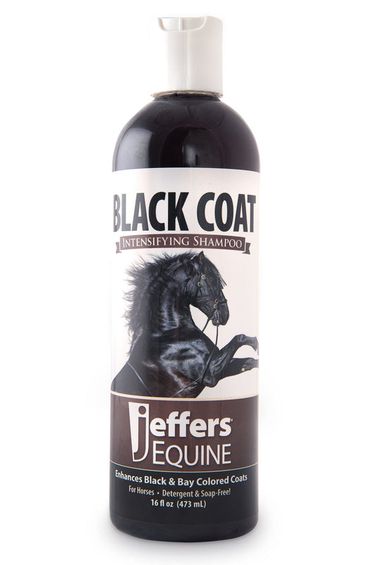 Champú para caballos Jeffers Equine Black Coat intensificador del color para capas negras y bayas