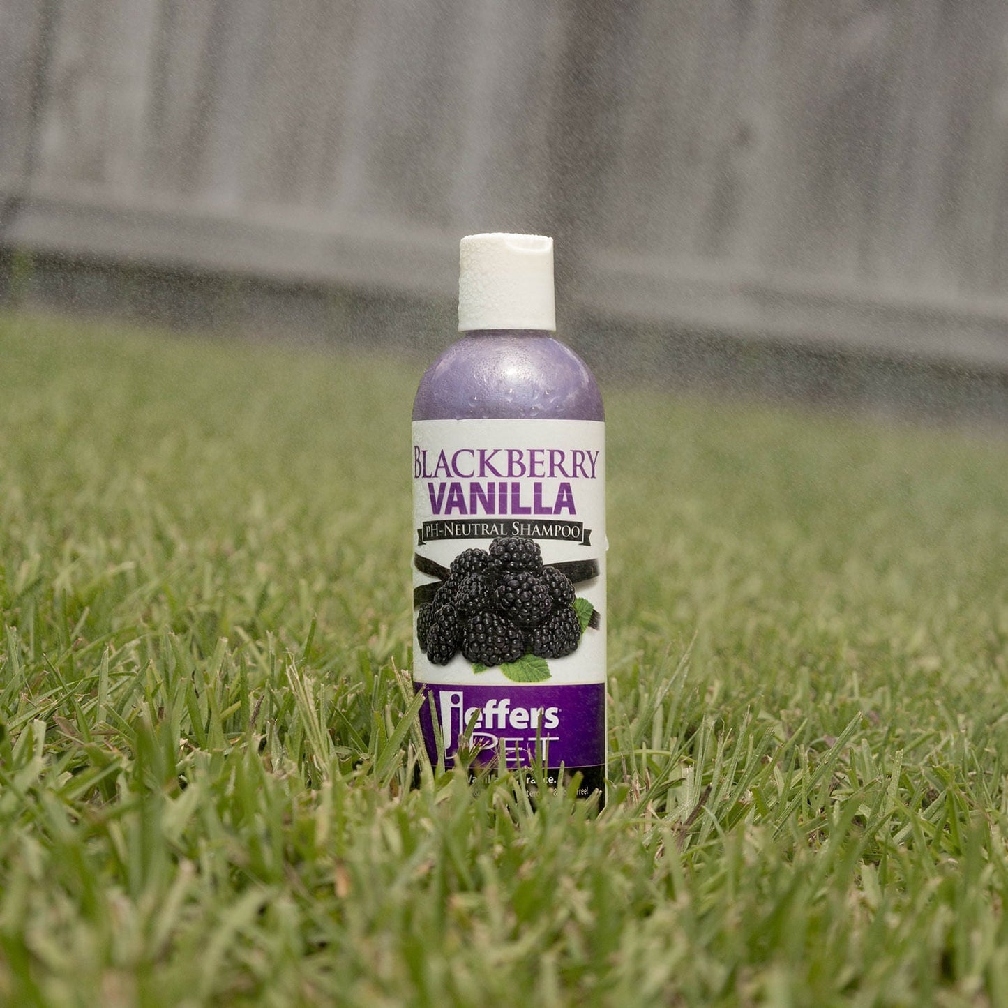 Champú pH Neutro para Mascotas Vainilla y Mora Jeffers