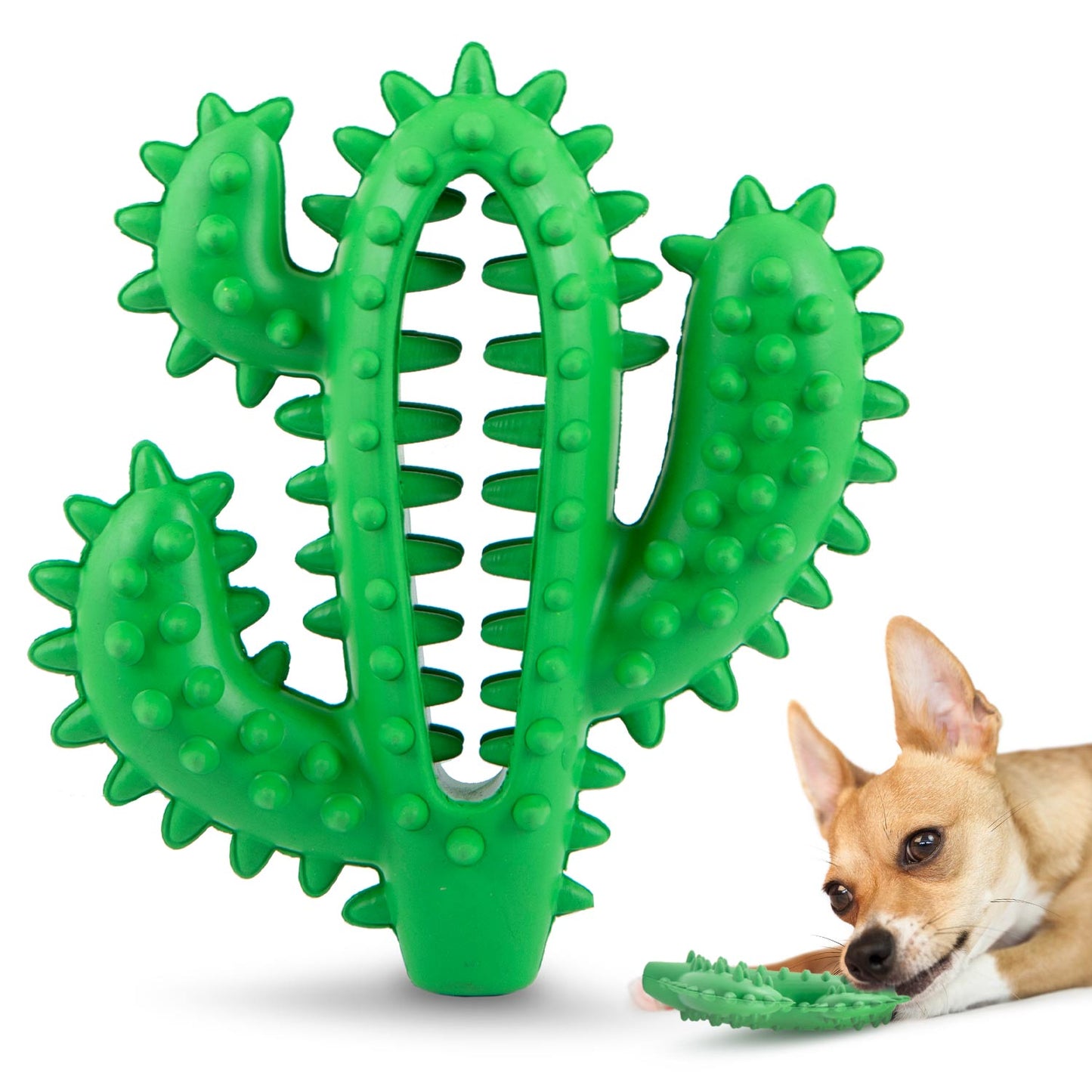 Juguete masticable dental Jeffers Cactus de caucho natural para perros para hábitos de masticación saludables