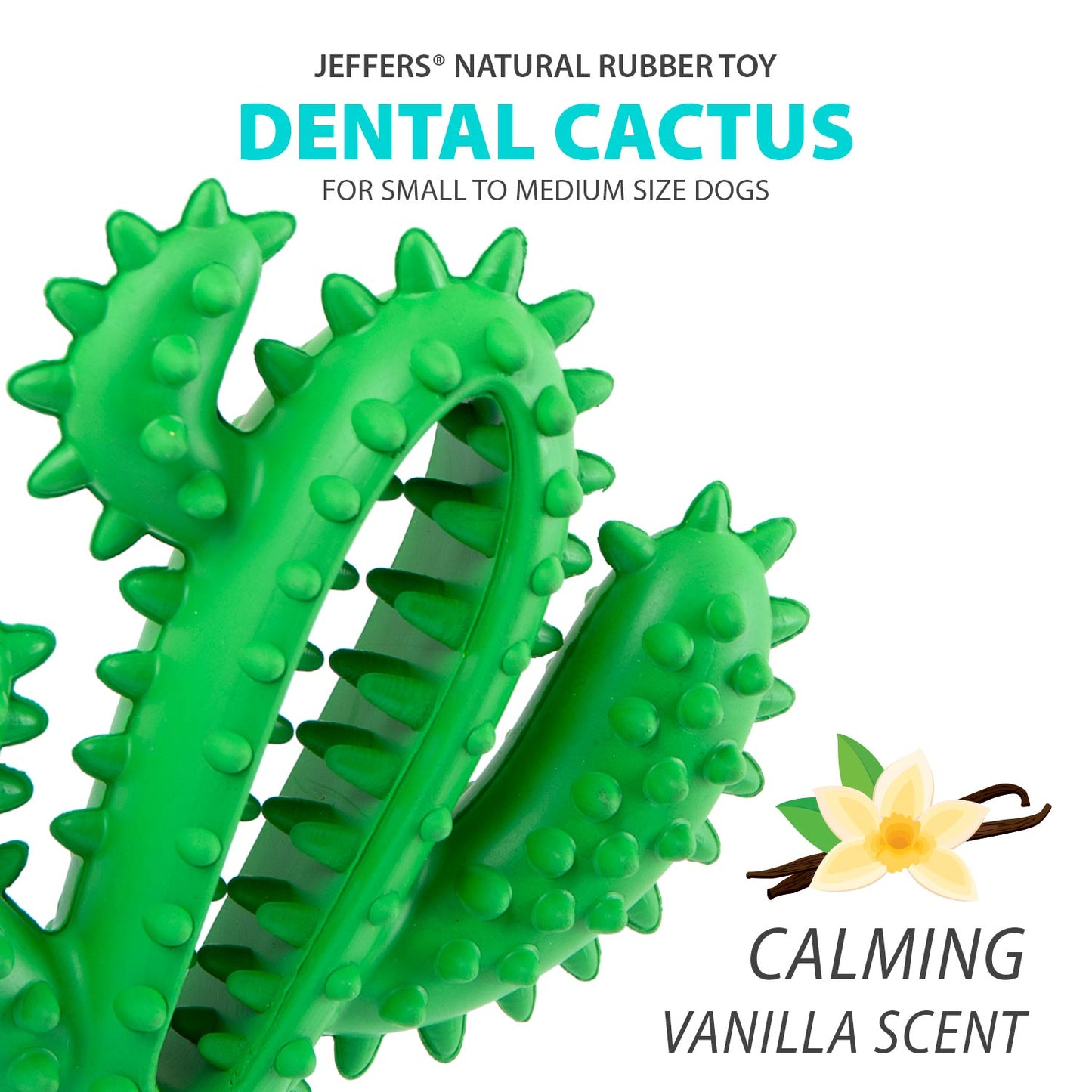 Juguete masticable dental Jeffers Cactus de caucho natural para perros para hábitos de masticación saludables