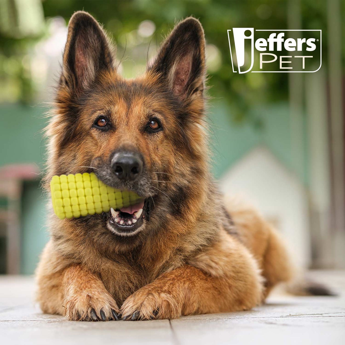 Juguete masticable dental para perros Jeffers Corn Cob de caucho natural dispensador de golosinas rellenable