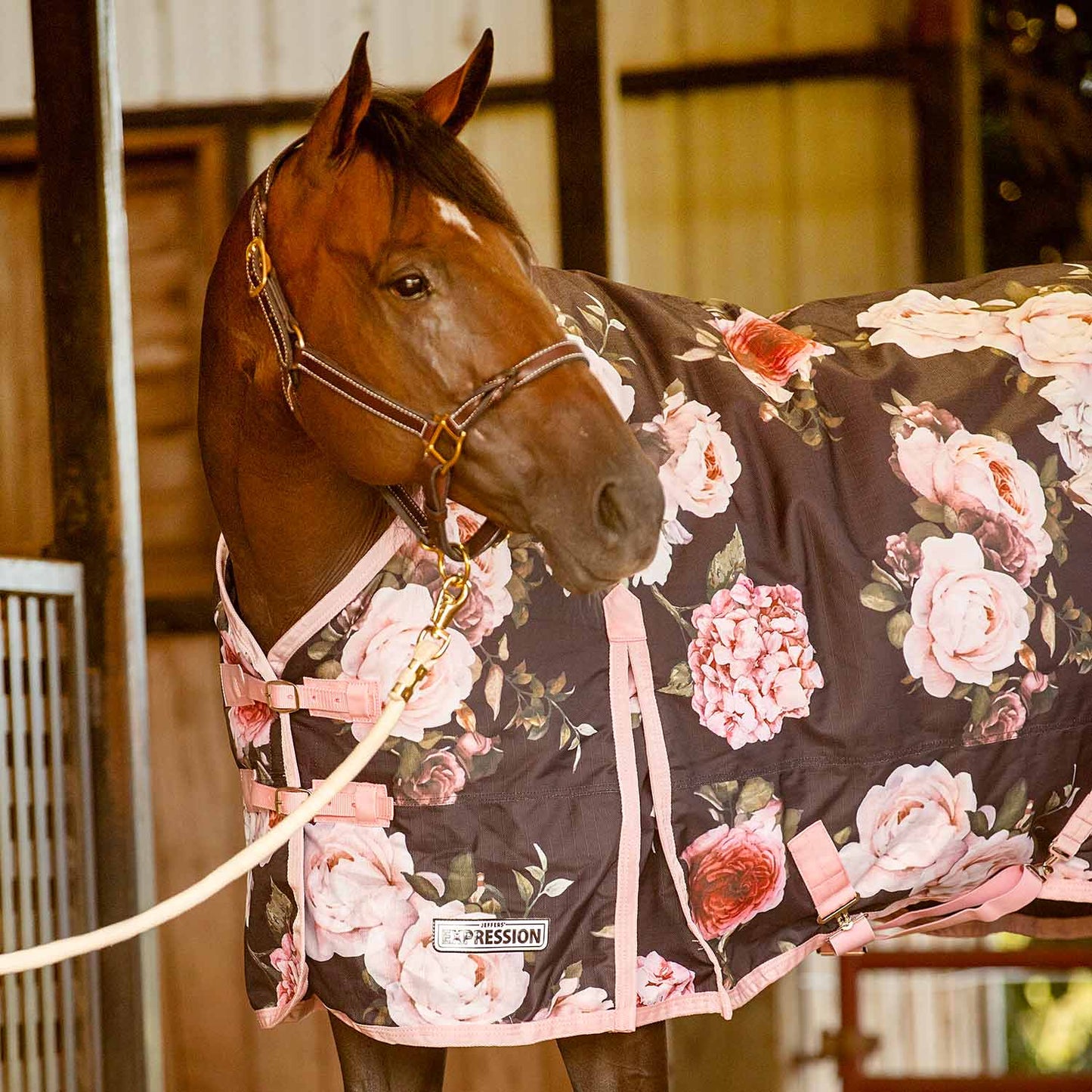 Manta de exterior Jeffers Expression de 1200 denier con cuello estándar para caballos, 0 gramos