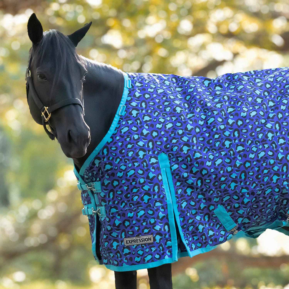 Manta de caballo Jeffers Expression 1200 Denier con cuello estándar, 240 gramos