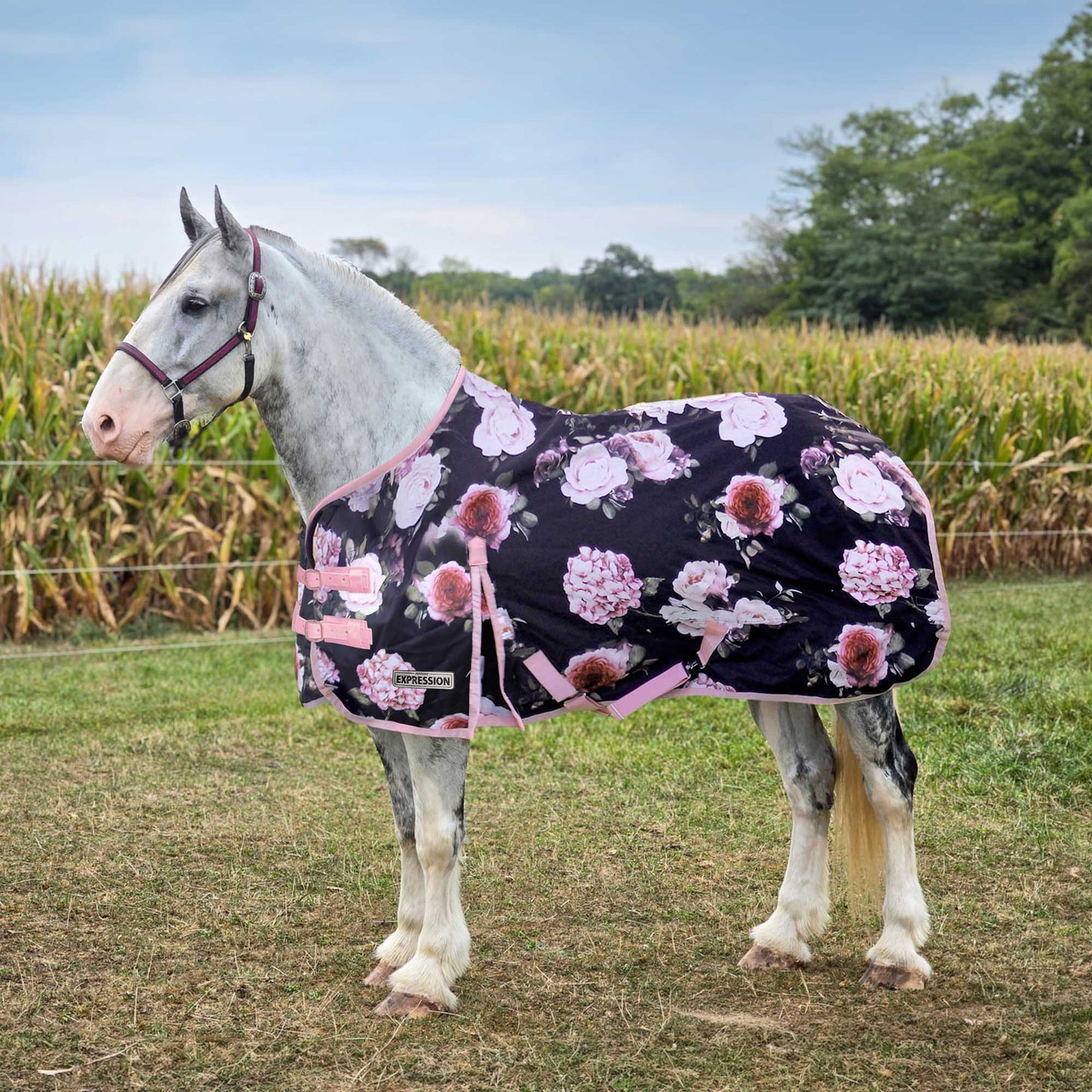 Manta de Exterior Jeffers Expression 1200D para Caballos de Tiro, 240 g | Impermeable, Transpirable y Diseño Seguro