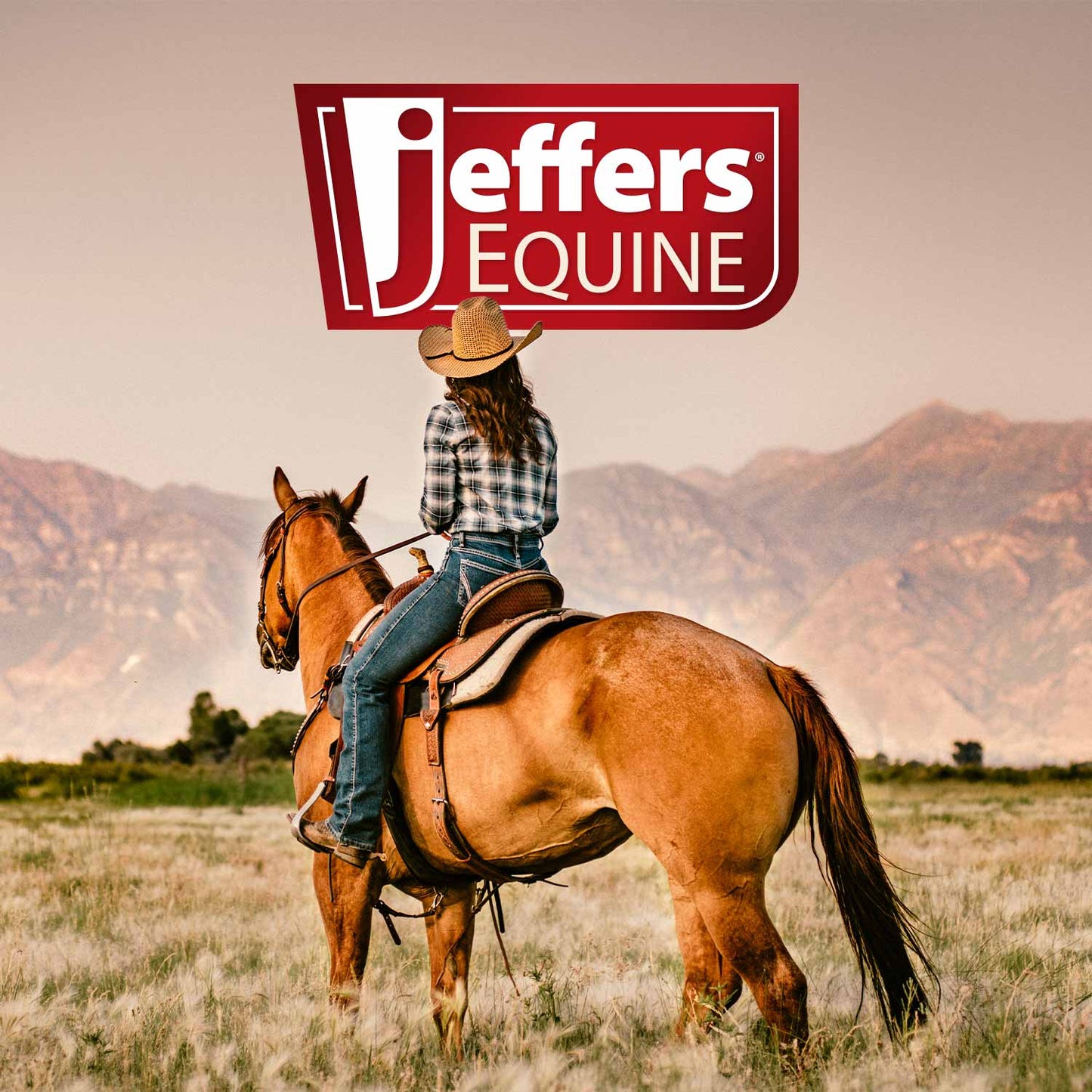 Champú Ultra Hidratante para Caballos Jeffers Equine Kalaya con Aceite de Emú