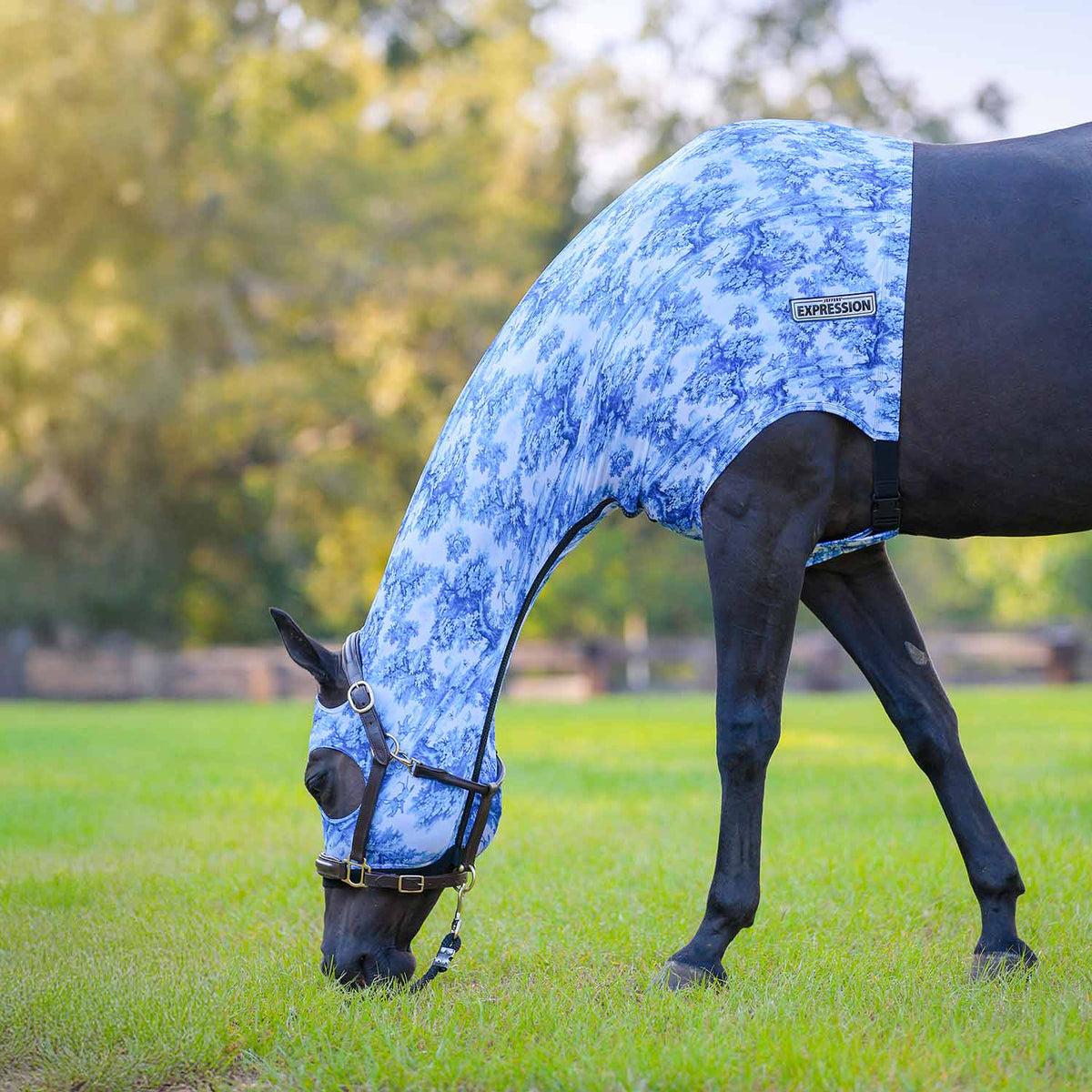 Capucha Jeffers Expression Lycra para Caballos