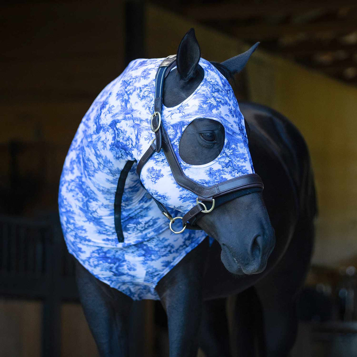 Capucha Jeffers Expression Lycra para Caballos