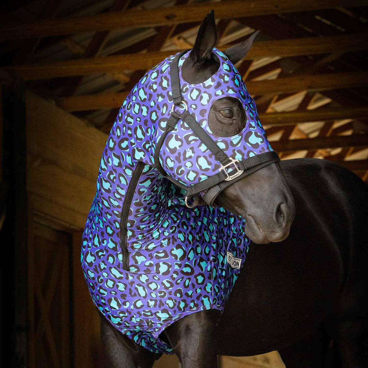 Capucha Jeffers Expression Lycra para Caballos
