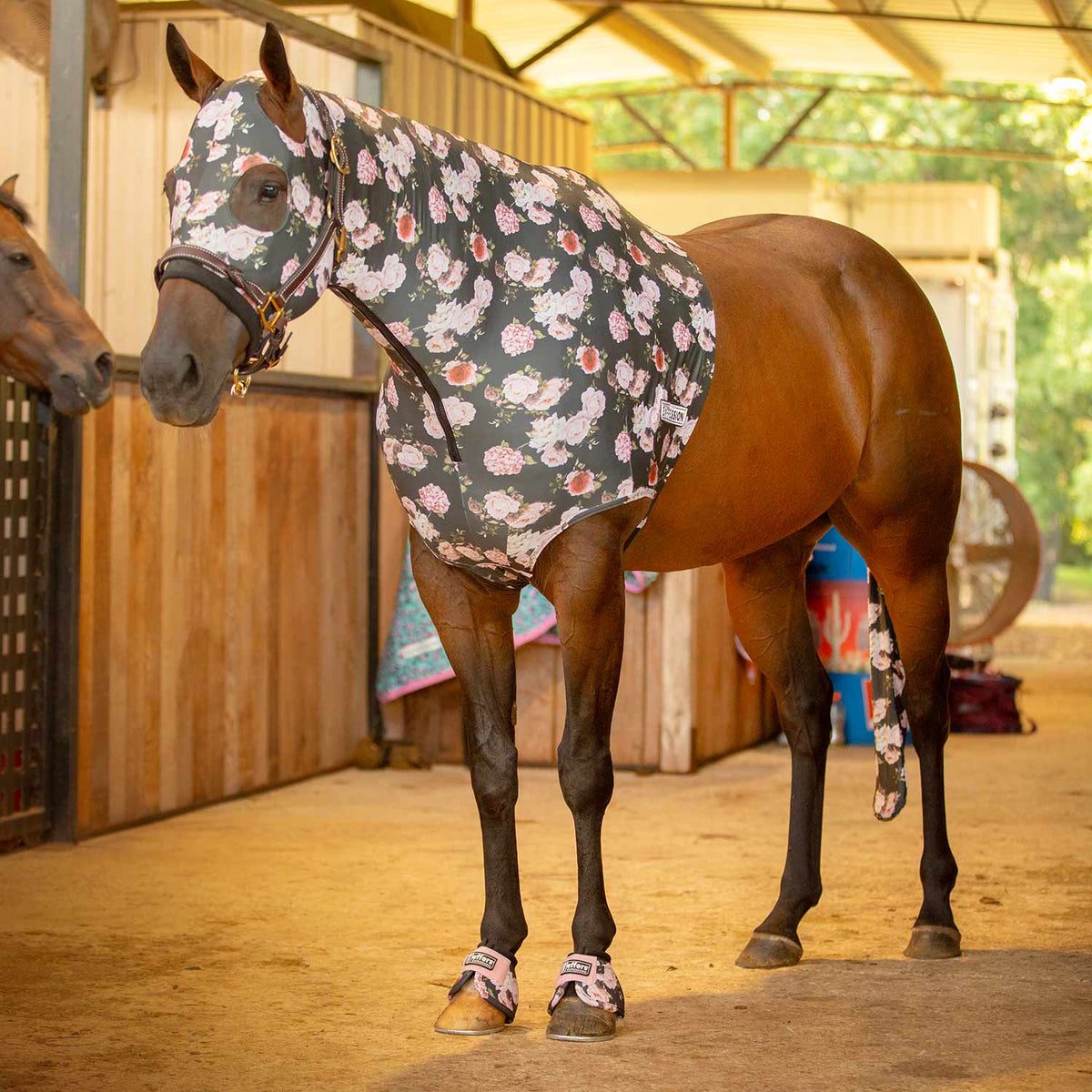 Capucha Jeffers Expression Lycra para Caballos
