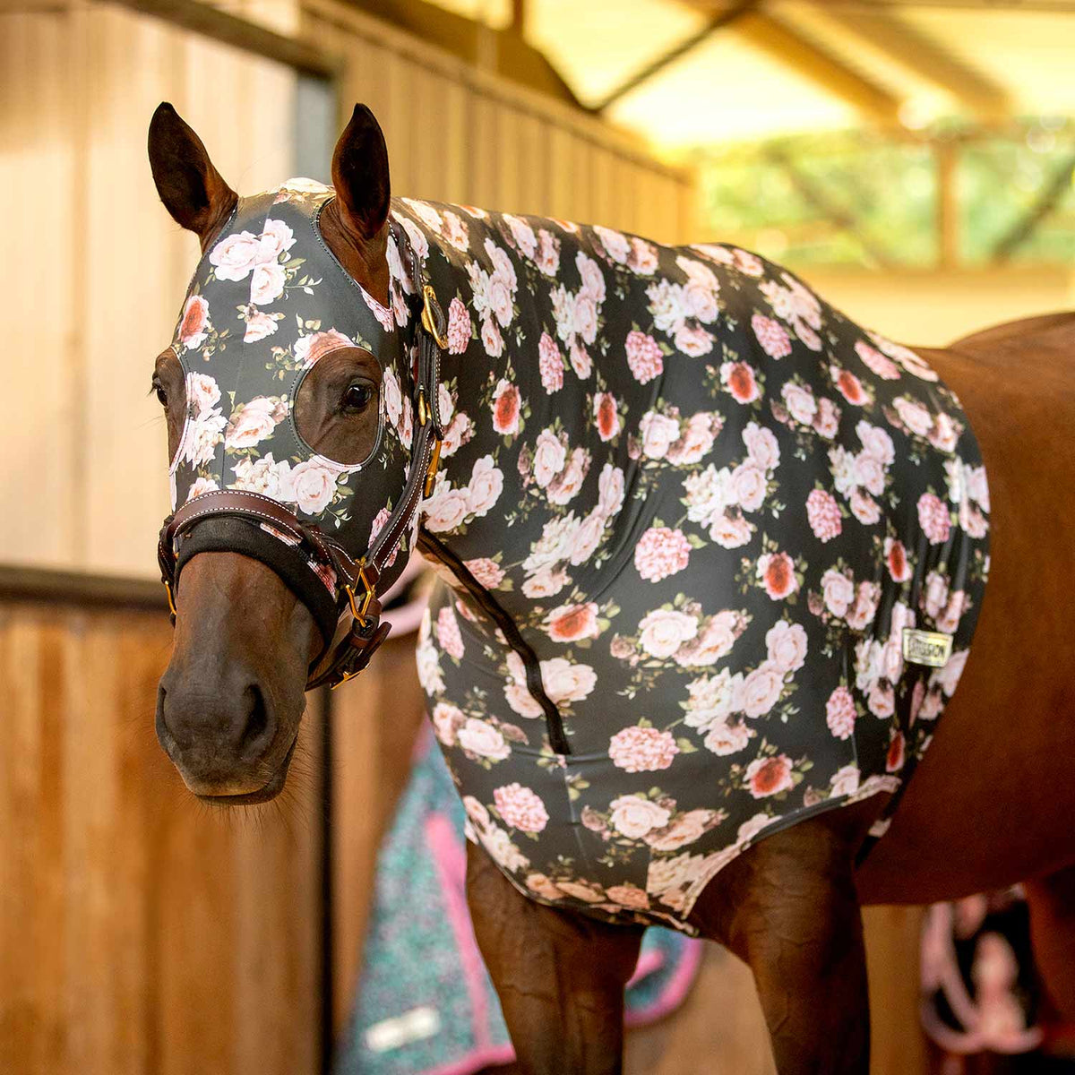 Capucha Jeffers Expression Lycra para Caballos