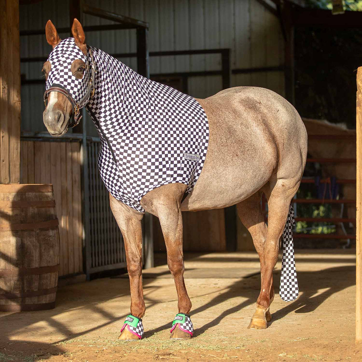 Capucha Jeffers Expression Lycra para Caballos