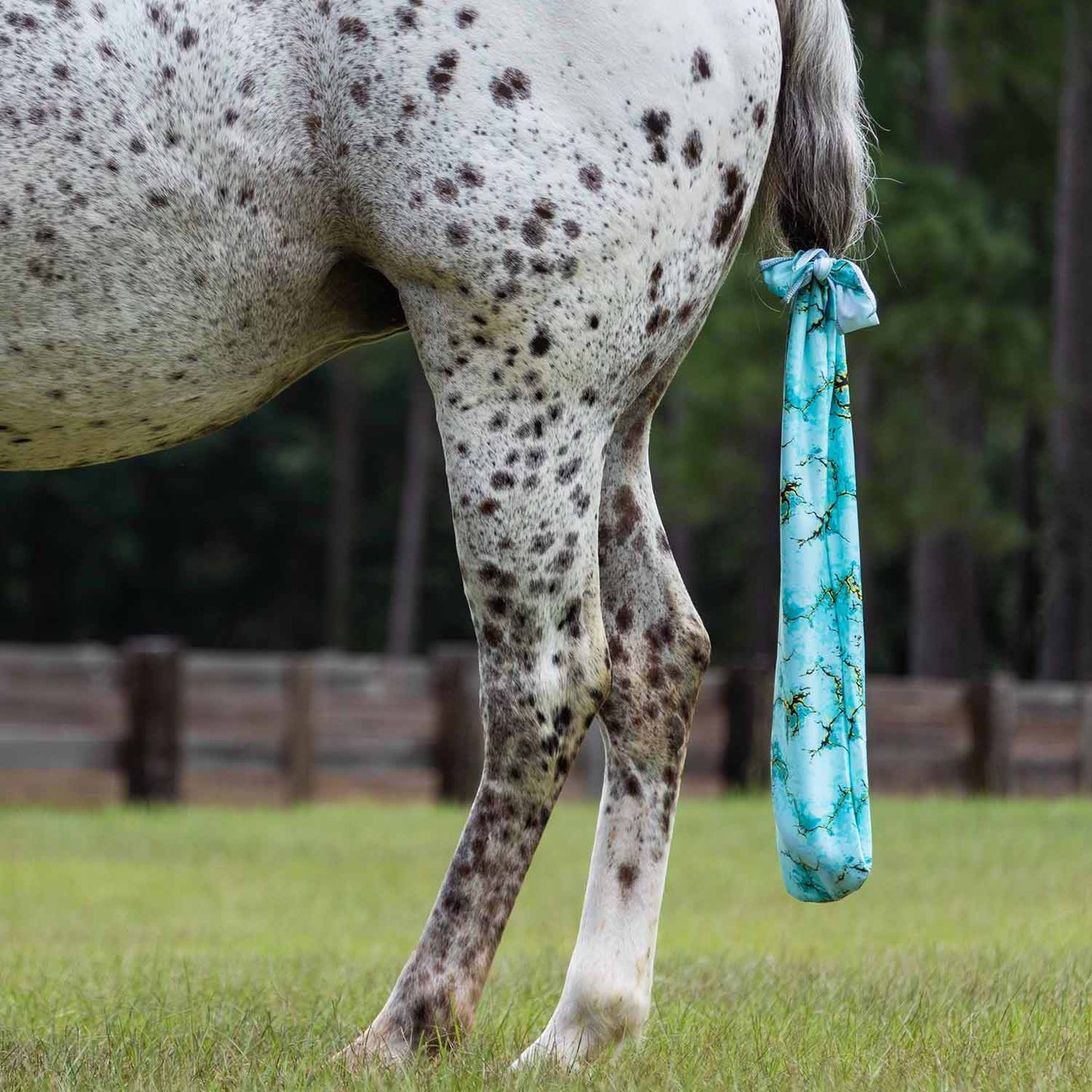 Bolsa Jeffers Expression Lycra para cola de caballo, 61 cm (24") L