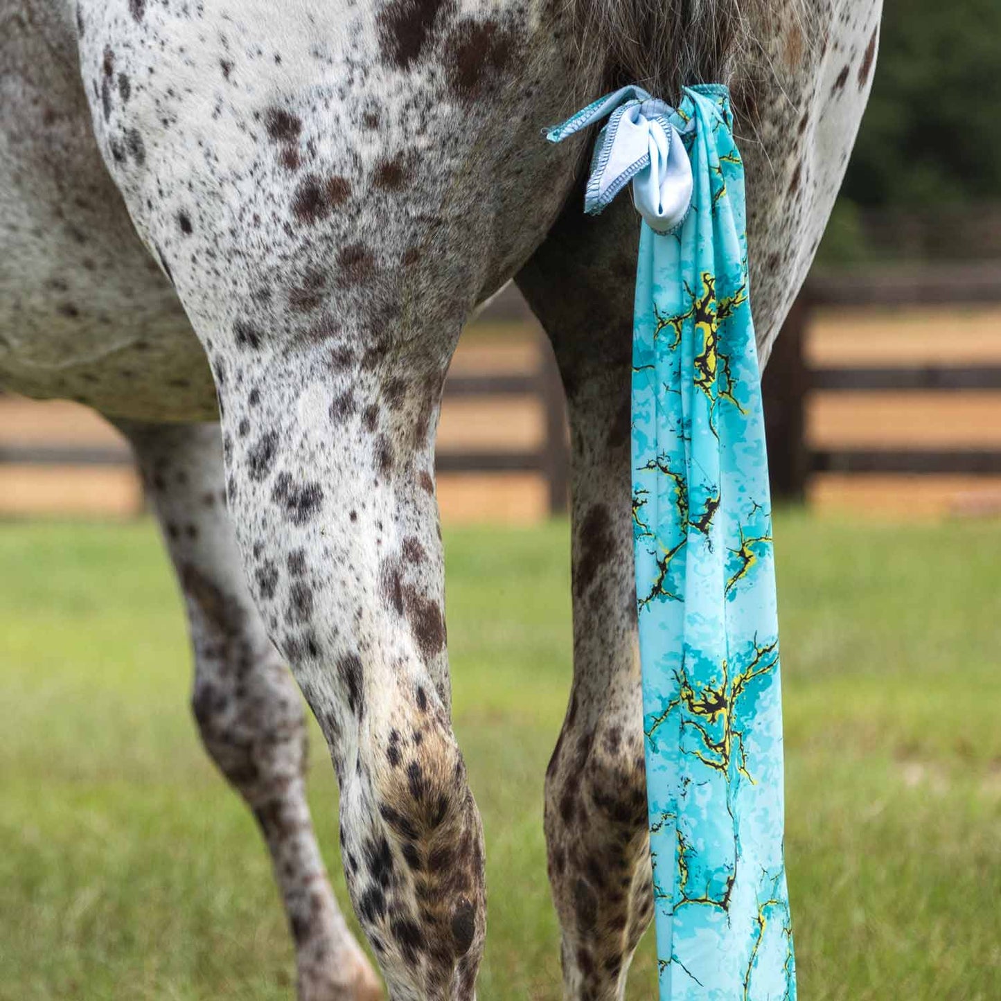 Bolsa Jeffers Expression Lycra para cola de caballo, 61 cm (24") L