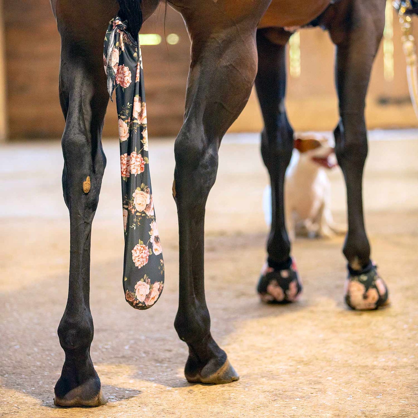 Bolsa Jeffers Expression Lycra para cola de caballo, 61 cm (24") L