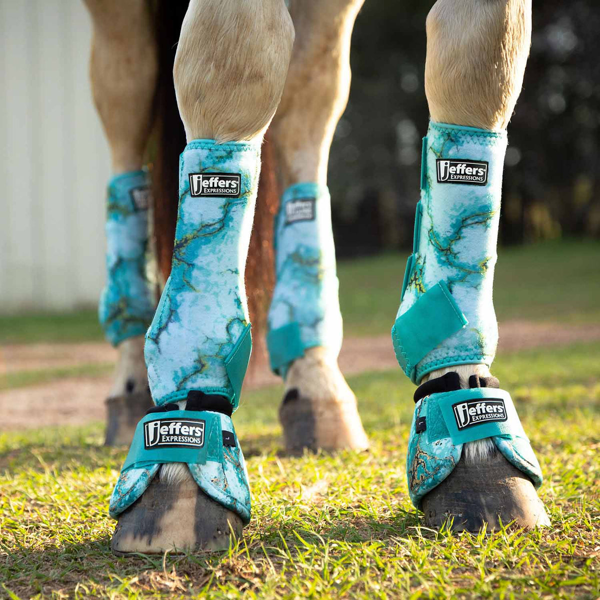 Botas protectoras Jeffers Expression para caballos