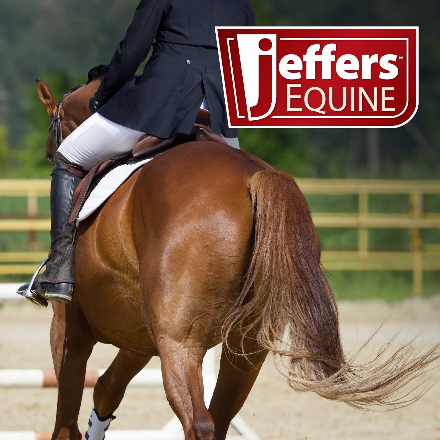 Manta antimosquitos Jeffers Expression Softmesh con cubrecuello para caballo
