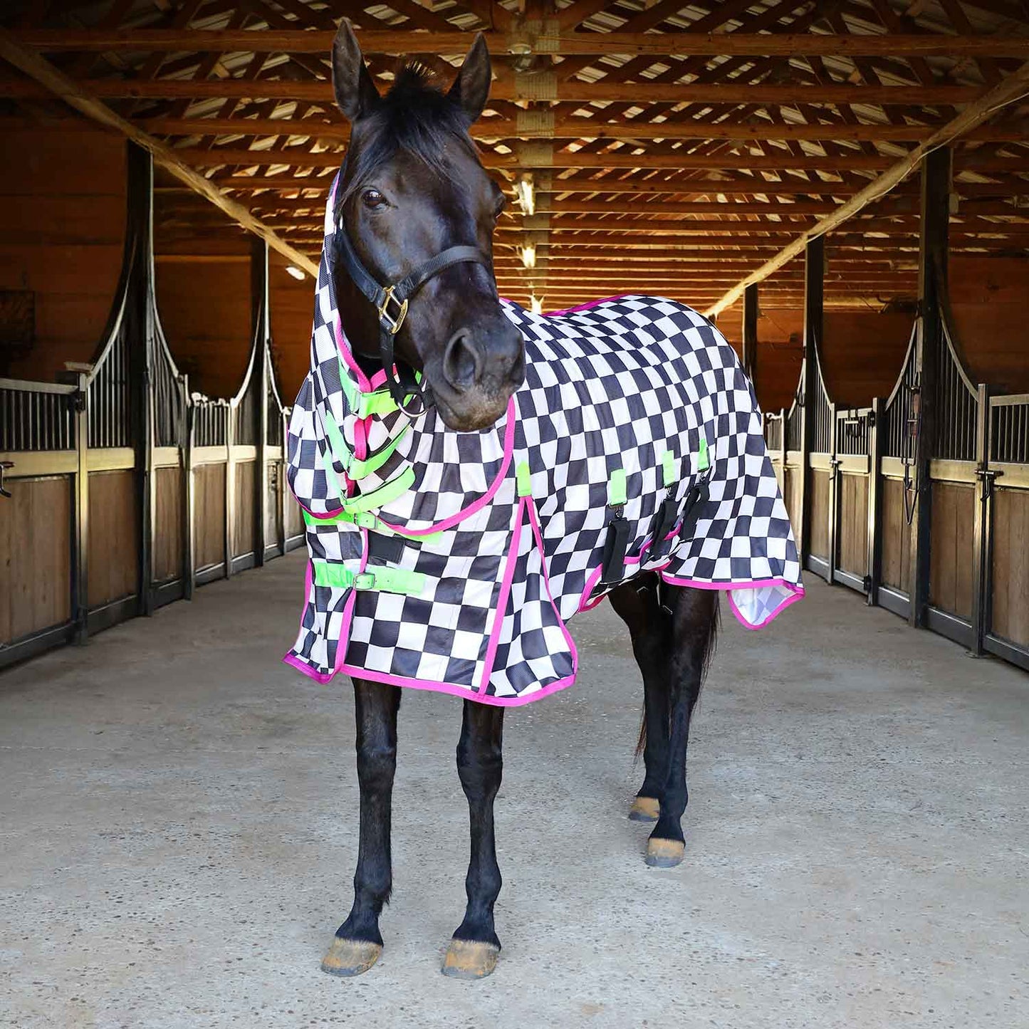 Manta antimosquitos Jeffers Expression Softmesh con cubrecuello para caballo