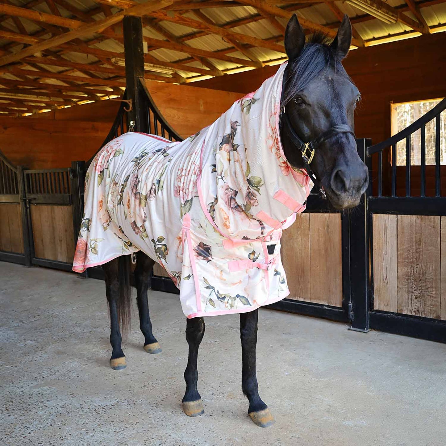 Manta antimosquitos Jeffers Expression Softmesh con cubrecuello para caballo
