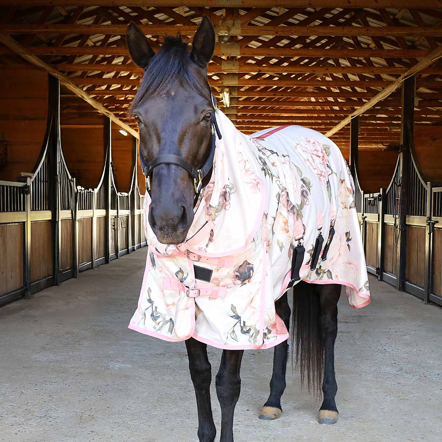 Manta antimosquitos Jeffers Expression Softmesh con cubrecuello para caballo