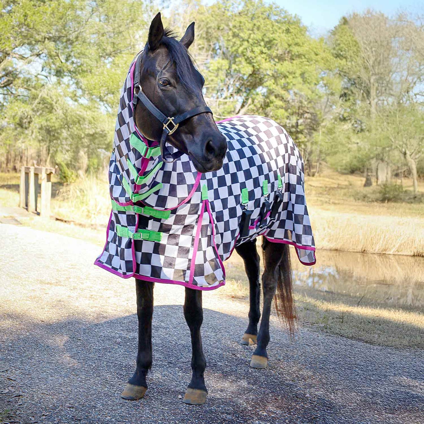 Manta antimosquitos Jeffers Expression Softmesh con cubrecuello para caballo