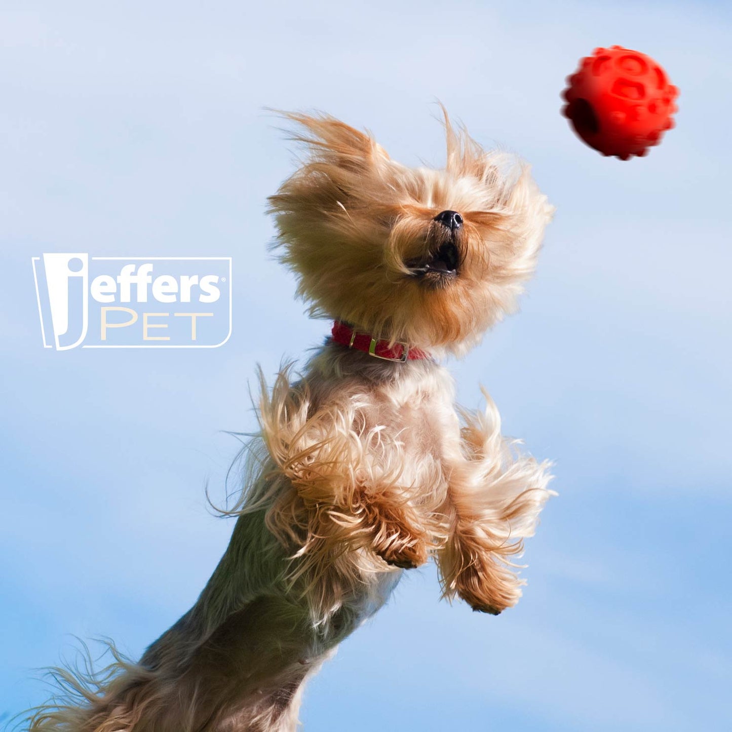 Juguete dispensador de golosinas dentales para perros, Jeffers Hollow Red Knobby Ball, caucho natural