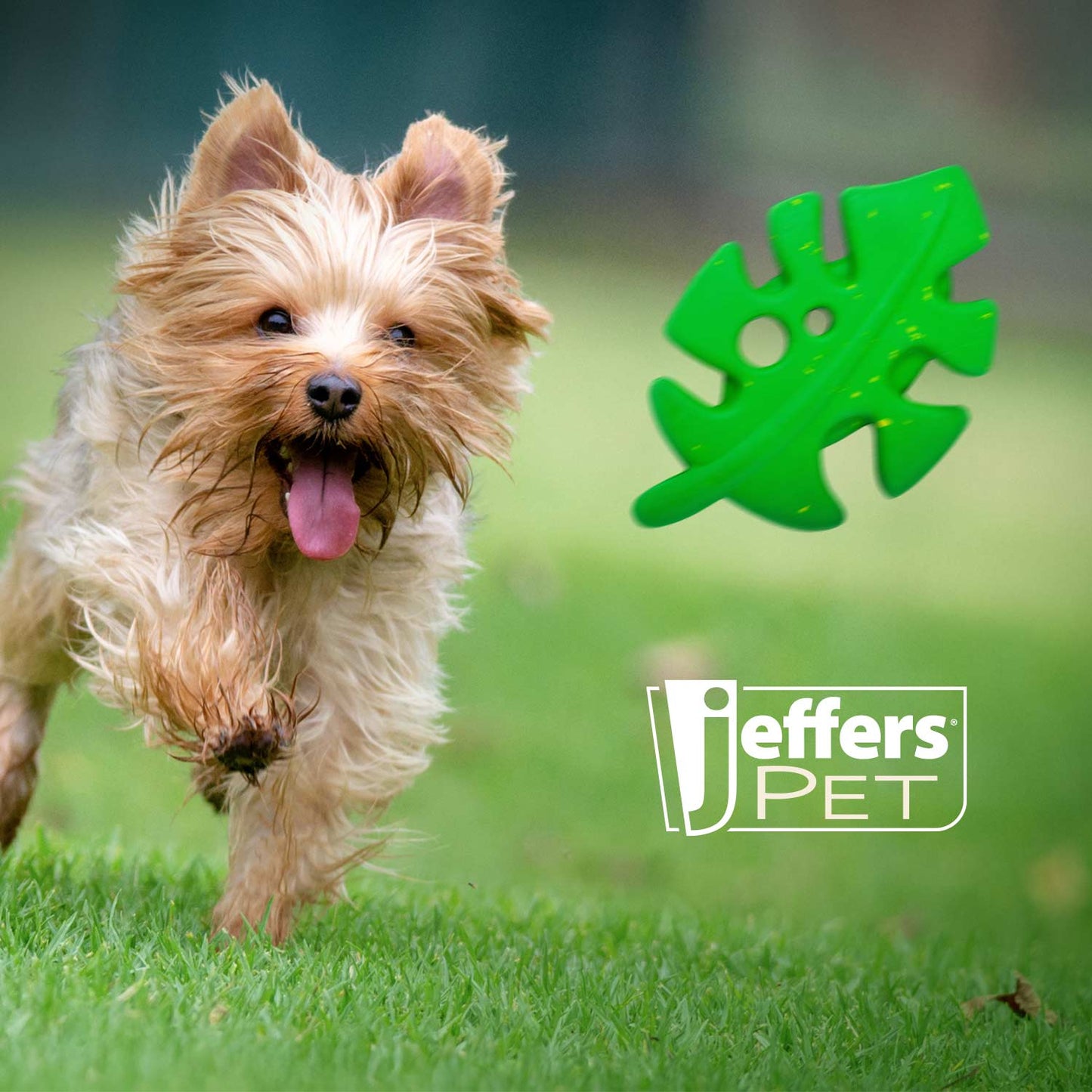 Juguete masticable Jeffers de caucho natural con forma de hoja para perros, con beneficios dentales y aroma a vainilla para mordedores moderados