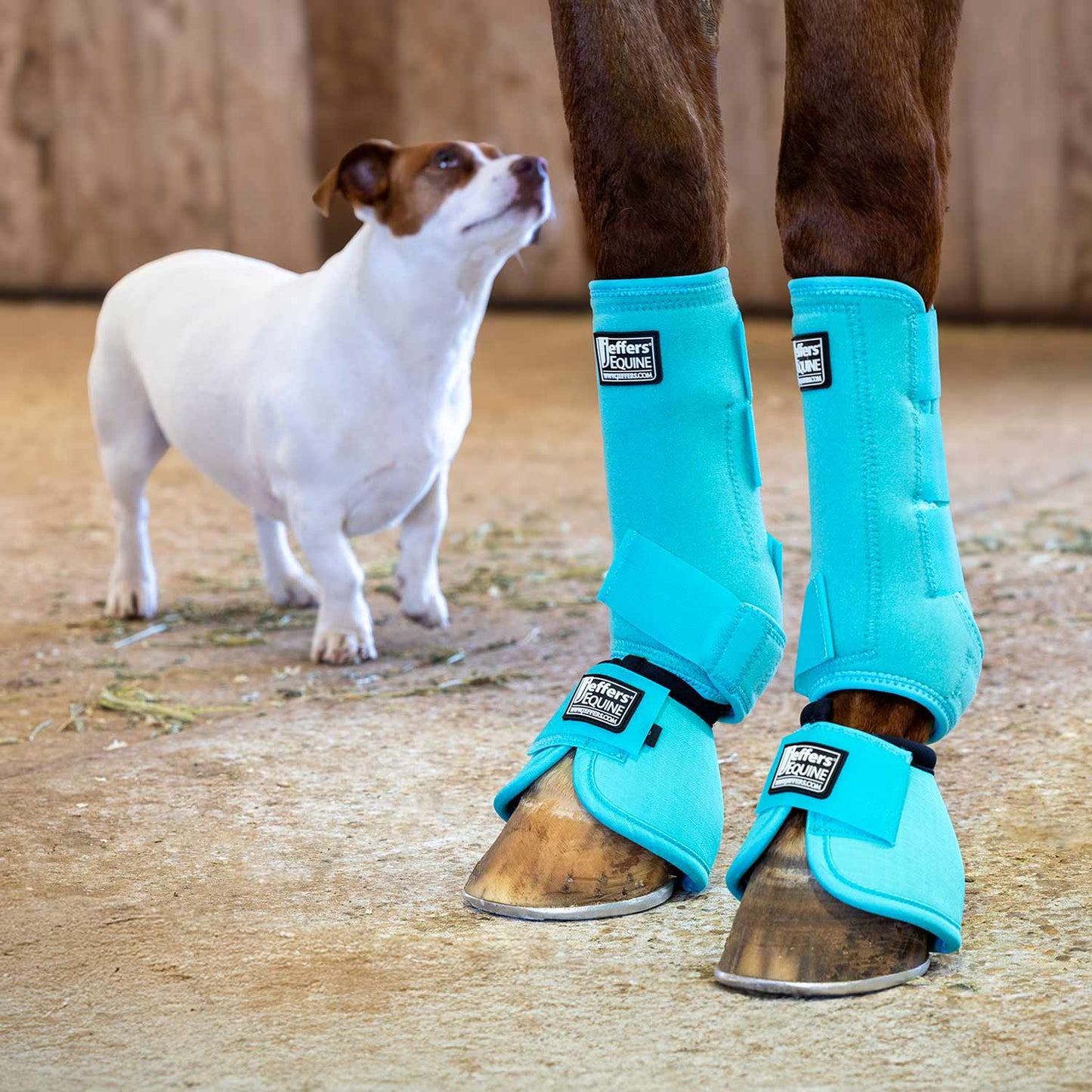 Botas de campana Jeffers No-Turn para caballos, colores sólidos, 2 unidades