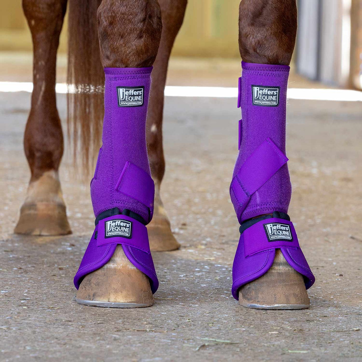 Botas de campana Jeffers No-Turn para caballos, colores sólidos, 2 unidades