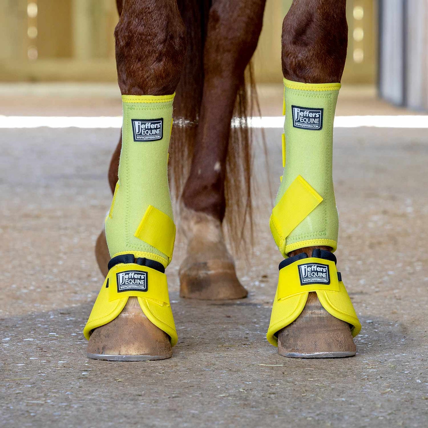 Botas de campana Jeffers No-Turn para caballos, colores sólidos, 2 unidades