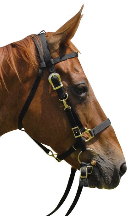 Cabestro de nailon combinado Jeffers para caballo con riendas