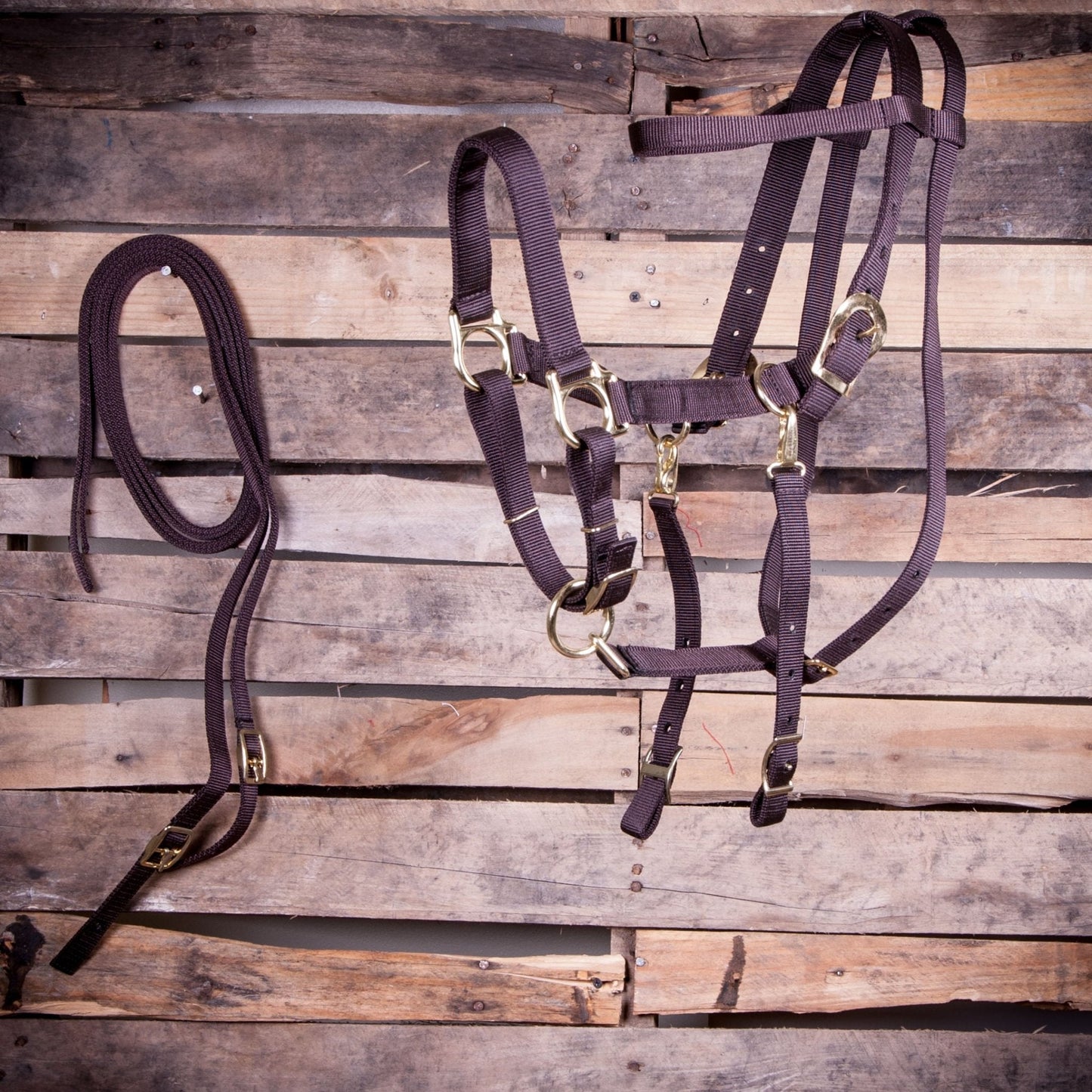 Cabestro de nailon combinado Jeffers para caballo con riendas