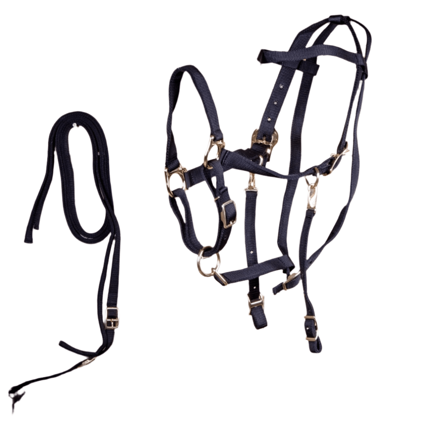 Cabestro de nailon combinado Jeffers para caballo con riendas