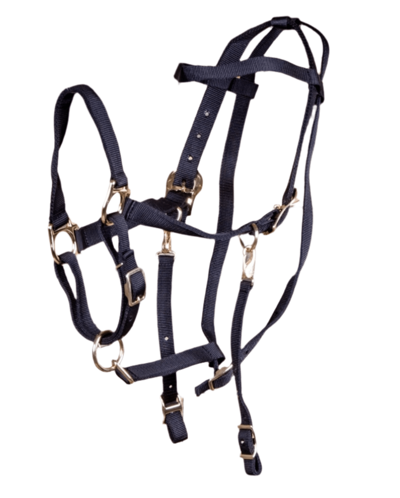 Cabestro de nailon combinado Jeffers para caballo con riendas