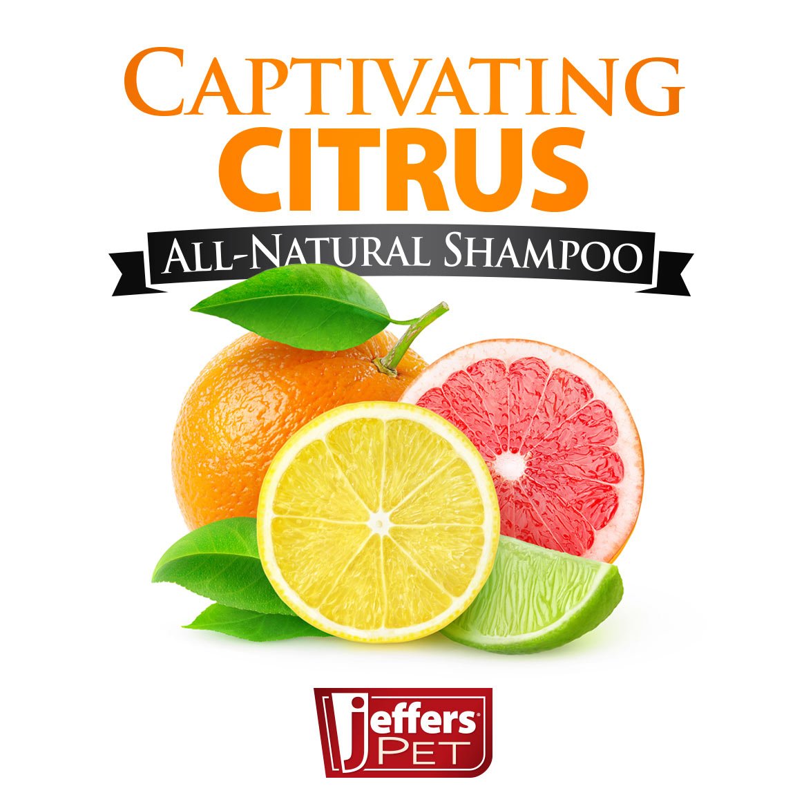 Champú Jeffers Pet Captivating Citrus para aliviar las picaduras de pulgas, totalmente natural, para perros y gatos