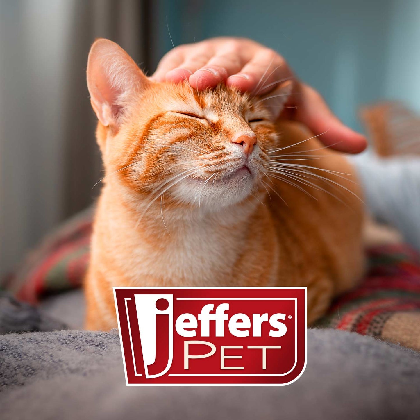 Cepillos de aseo para mascotas Jeffers Slicker antideslizantes