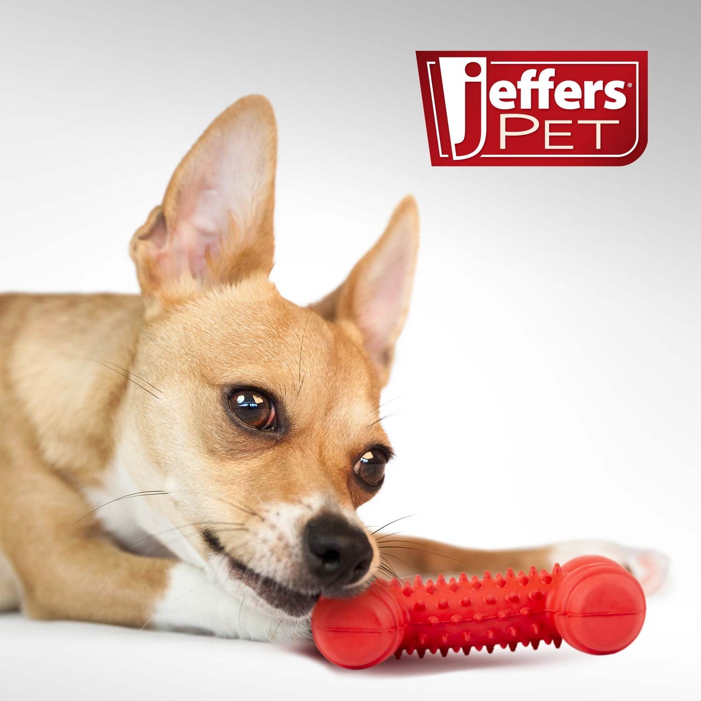 Juguete masticable de caucho natural Jeffers Red Dental Bone para perros para dientes y encías saludables