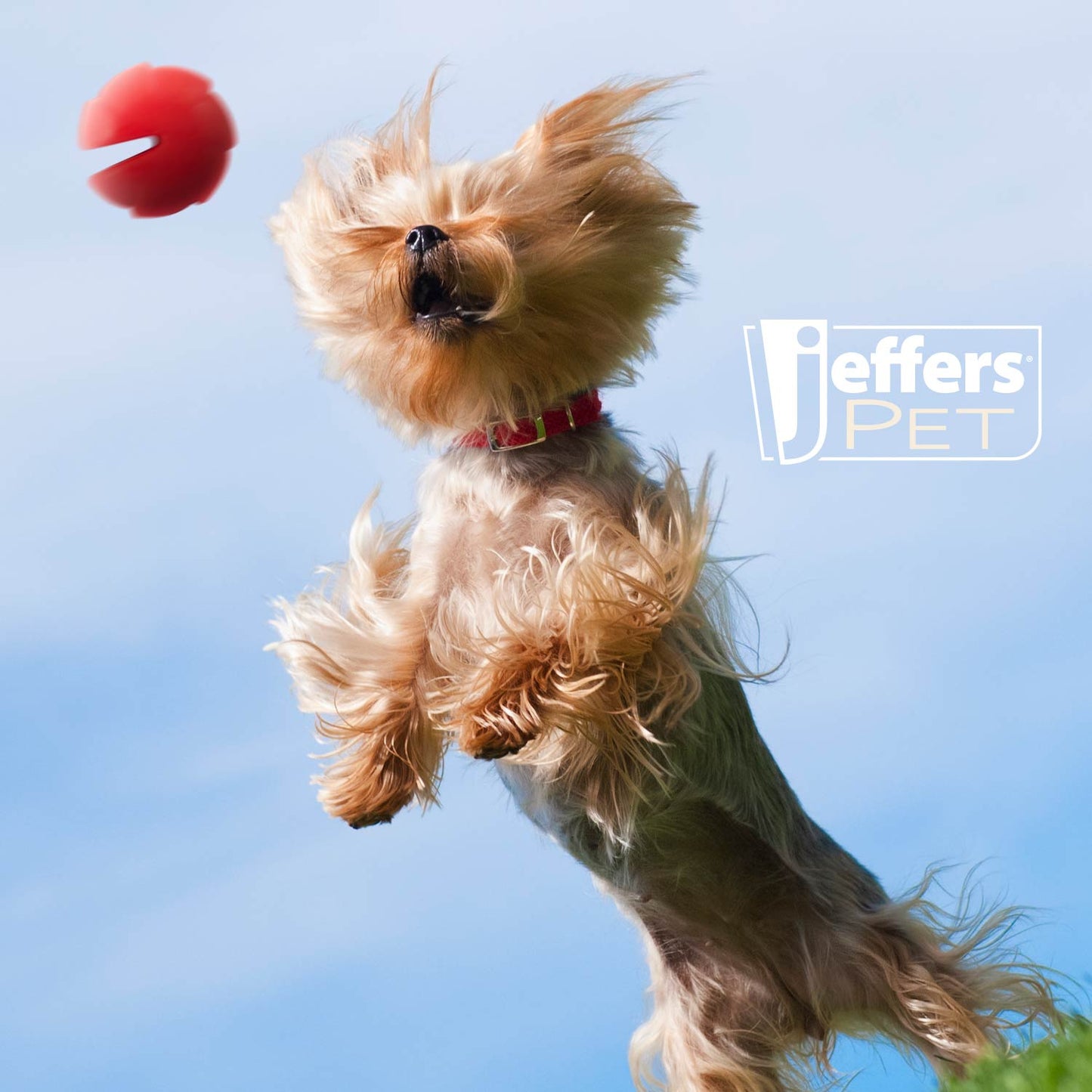 Juguete masticable dental de caucho natural con dispensador de golosinas para perro, Jeffers Red Millipede