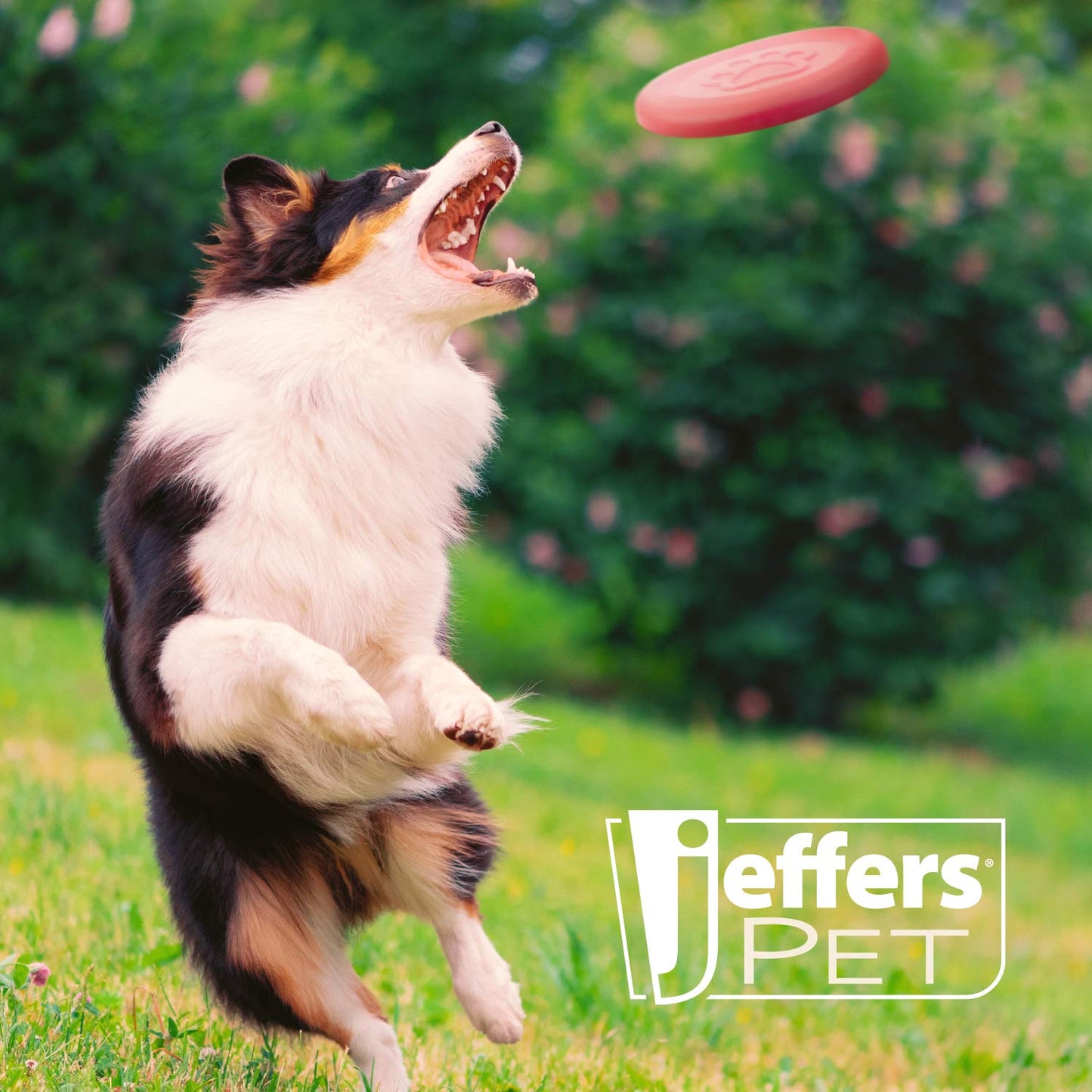 Juguete para Perro Jeffers Red Paw Frisbee de Caucho Natural para Lanzar y Masticar