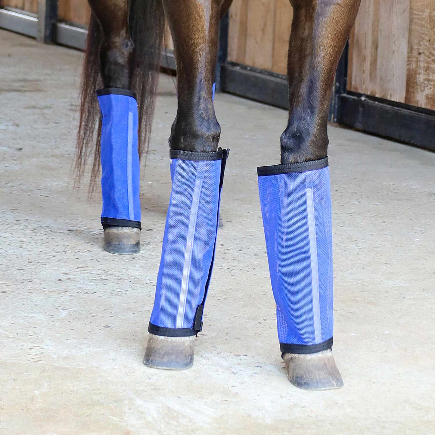 Botas "Stomp-Free" para moscas Jeffers Romper Stomper para caballos, paquete de 4