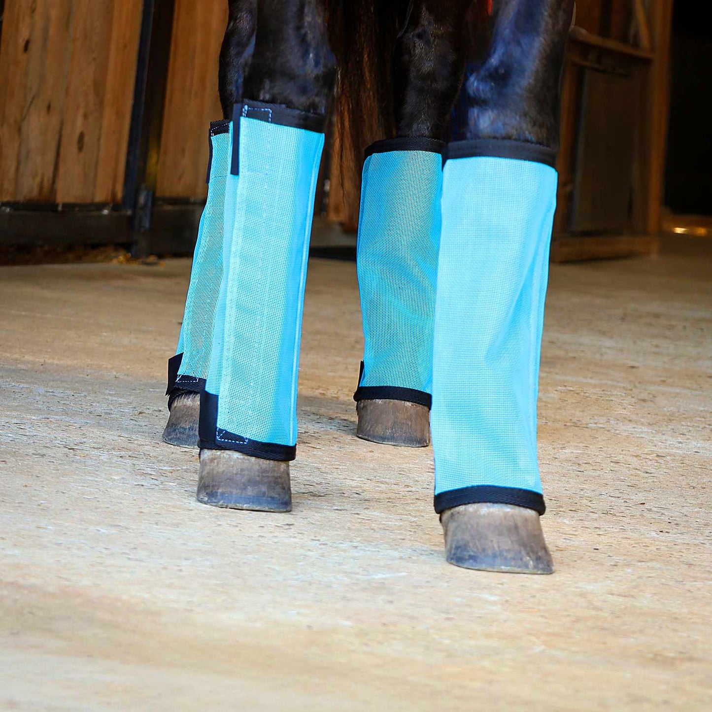Botas "Stomp-Free" para moscas Jeffers Romper Stomper para caballos, paquete de 4