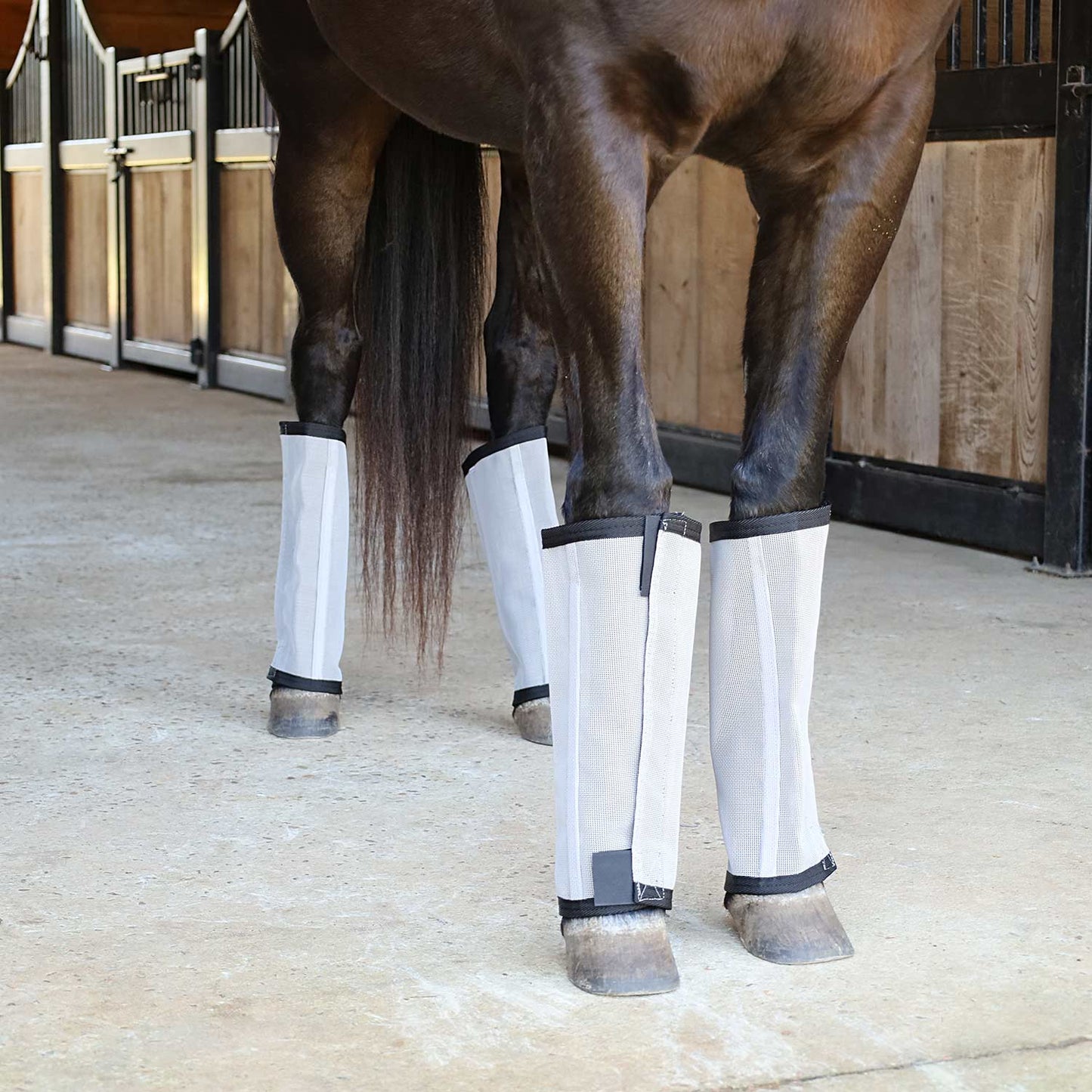 Botas "Stomp-Free" para moscas Jeffers Romper Stomper para caballos, paquete de 4